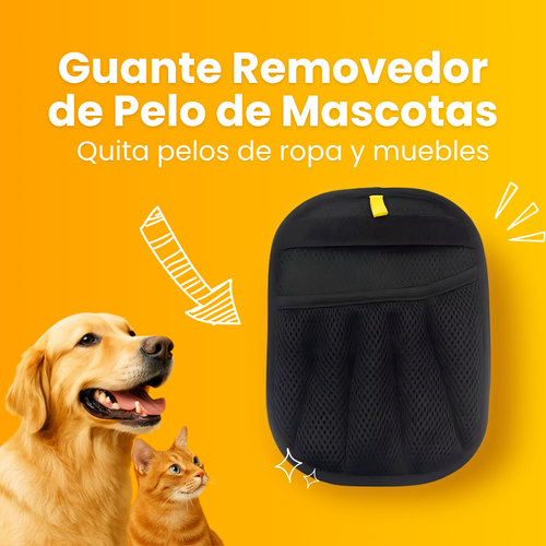 Combo Hidrolavadora Inalámbrica + Aspiradora 3 en 1 – Limpieza Total para tu Auto